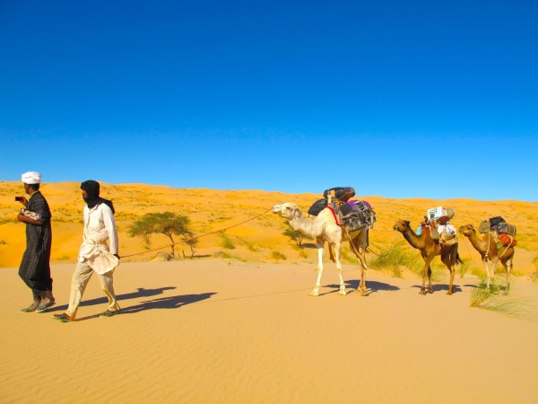 Auberge et Camping Inimi